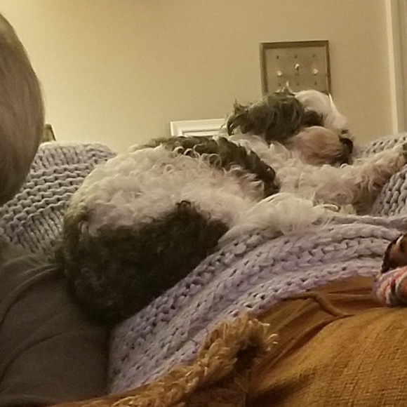 Meet your Posher, Kim - Picture 1 of 1